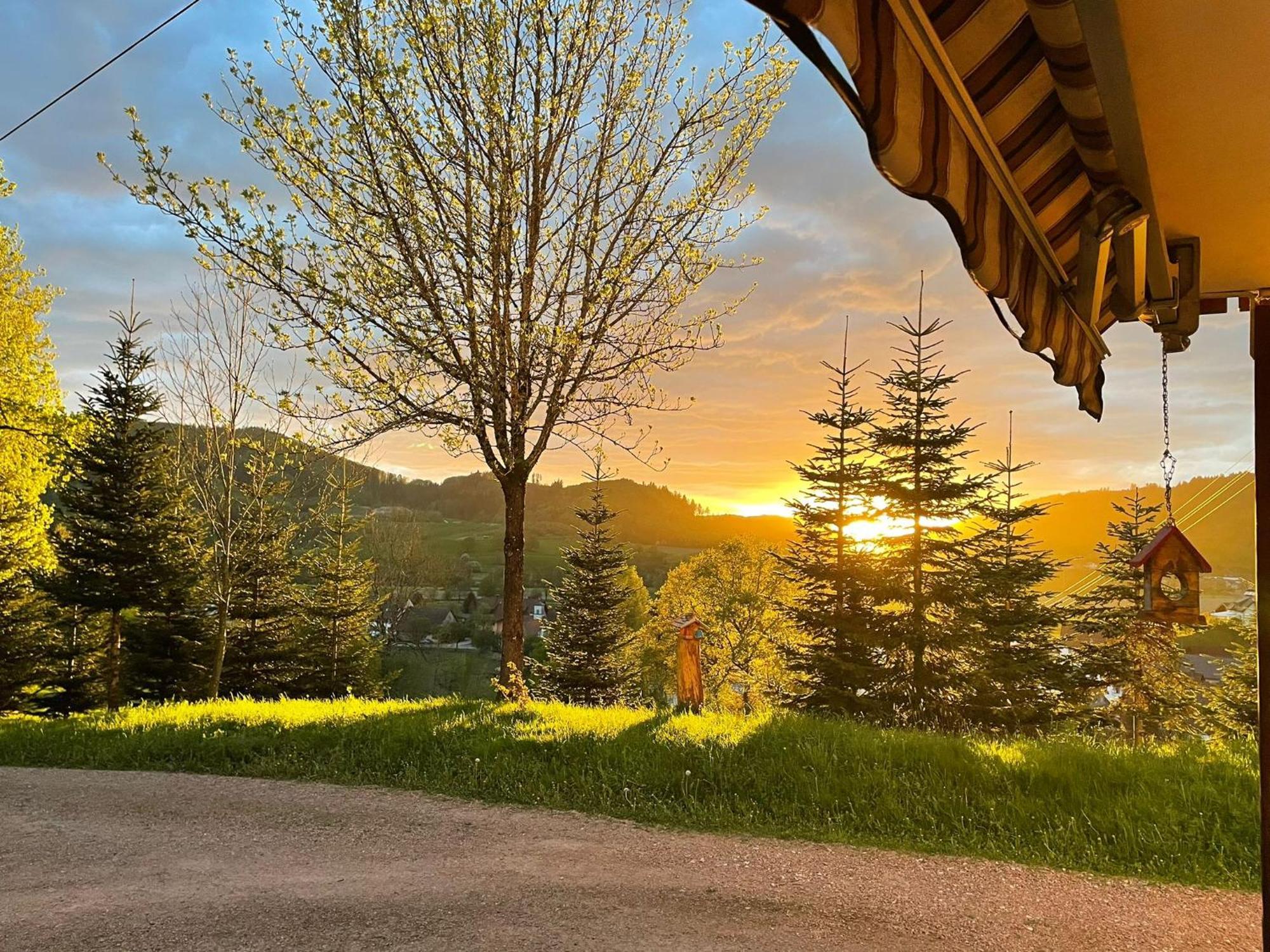 Ferienwohnung Am Buergele Schopfheim Dış mekan fotoğraf